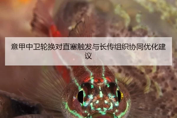 意甲中卫轮换对直塞触发与长传组织协同优化建议