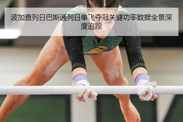 bo-jia-cha-lie-ri-ba-si-tong-lie-ri-dan-fei-duo-guan-guan-jian-gong-lv-shu-ju-quan-jing-shen-du-zhui-zong-2-645.jpg